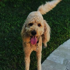 Meet your Posher, Madison